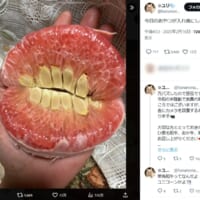 ユリさんが、おやつの時間に撮影した文旦の写真