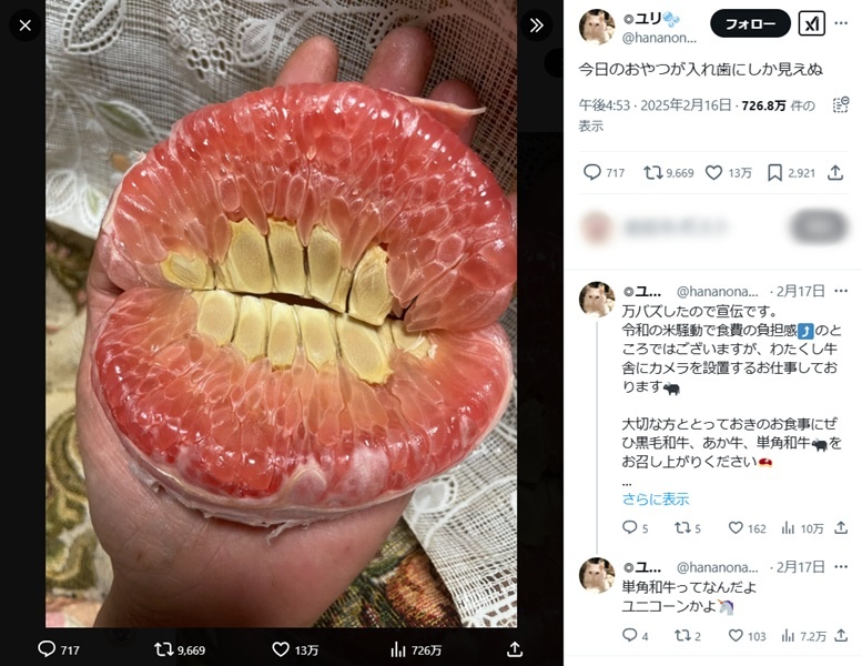 ユリさんが、おやつの時間に撮影した文旦の写真