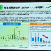 帰還困難地域における超獣害対策 イノシシ・アライグマ・ハクビシンは減少