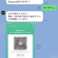 個人のものと思われるPayPayのQRコード画像が