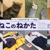 「『ねこのねかた』22選」プロジェクト