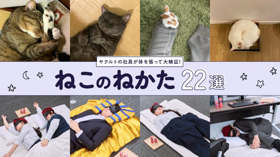 「『ねこのねかた』22選」プロジェクト