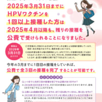 定期接種対象である高校1年生相当（2008年4月2日～2009年4月1日生まれ）の人も同様に延長の対象