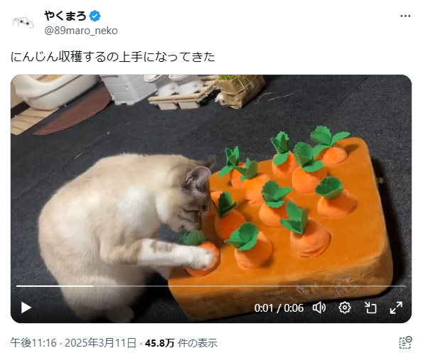 にんじんを収穫するちくわくん