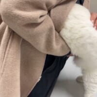 飼い主さんの洋服の中に潜り込むあんみつちゃん