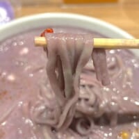 麺は中太平打ち