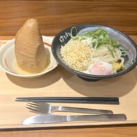 うどん（中）にも負けないサイズ感