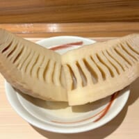 綺麗な層構造の断面