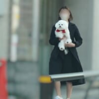 純白のワンちゃんに熱愛発覚！？週刊誌報道のような1枚、投稿者を直撃してみた