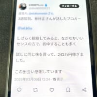 リプライ欄に無限湧きする詐欺垢へ潜入！小難しい投資知識に気圧されるも……AIで反撃