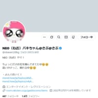 有名Xアカウント「パキちゃん」のなりすまし現る　何が目的なのか？インタビューしてみた