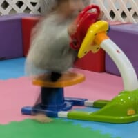 高速移動の真っ最中？遊具で遊ぶ2歳児を「とらえた」奇跡の1枚