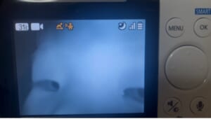 息子をやっと寝かしつけた……静かに寝室から脱出した母を待っていた衝撃の光景
