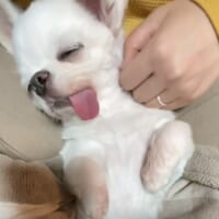 マッサージもいいけど、一番は家族のそば