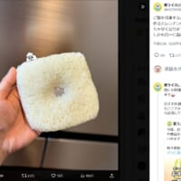ご飯に“くぼみ”を作るだけ！解凍が速くなる驚きの裏ワザ、実際に試してみた