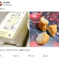 スポンジでフランスパンまで再現