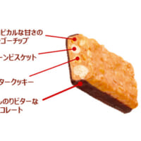 マンゴーのサンダー構成