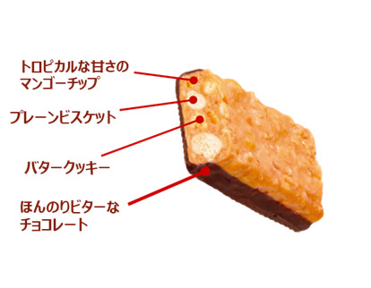 マンゴーのサンダー構成