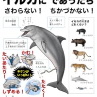 「イルカ＝友好的」は間違い！元水族館職員の絵本作家が伝えたい“危険性”