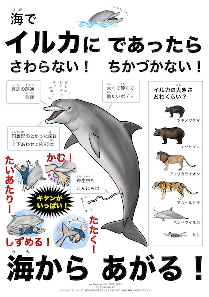 「イルカ＝友好的」は間違い！元水族館職員の絵本作家が伝えたい“危険性”