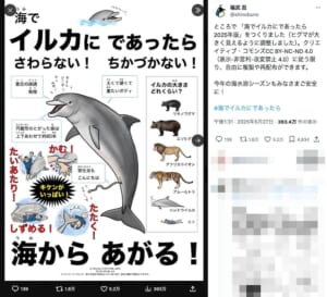 イルカは「体当たりされるだけでやばい、でかい野生生物」