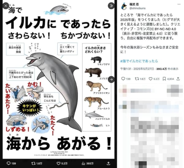 イルカは「体当たりされるだけでやばい、でかい野生生物」
