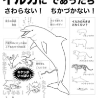 ぬりえ版