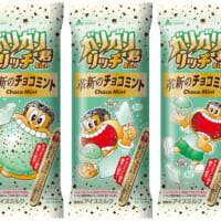 赤城乳業「ガリガリ君リッチ革新のチョコミント」5月6日発売