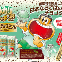 「ガリガリ君リッチ革新のチョコミント」商品説明