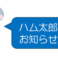 ハムちゃんずのひとりである「こうしくん」