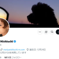 西内まりやさん公式X