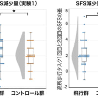 主観的恐怖スコア（SFS）（画像提供：国立研究開発法人情報通信研究機構）