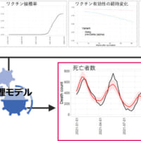 新型コロナウイルス感染症の死亡者数を予測する数理モデル