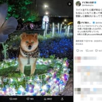 完全覚醒状態の小次郎くん