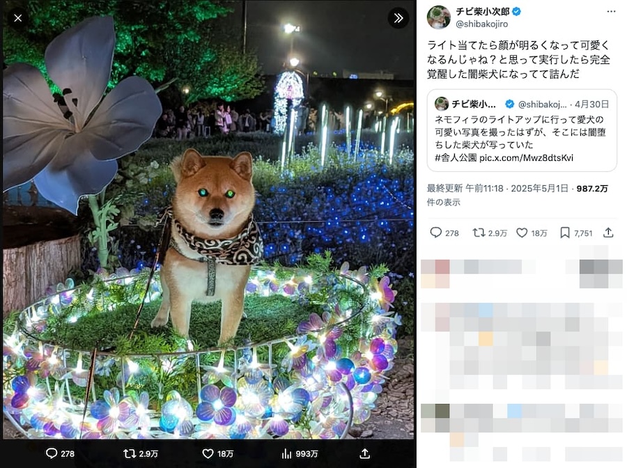 完全覚醒状態の小次郎くん