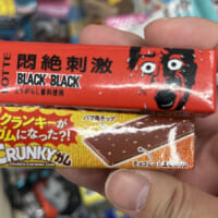 【ワゴンセールの誘惑】謎ガム2種を買ってみたら、チョコ味と悶絶級ミントが襲いかかる