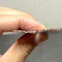 断面にはつぶつぶ