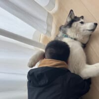 まさかの塩対応？飼い主の抱擁を無の表情で受け止めるワンコ