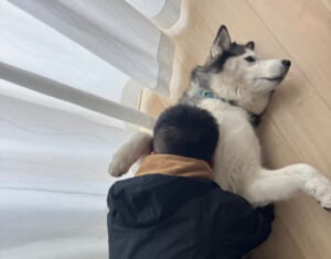 まさかの塩対応？飼い主の抱擁を無の表情で受け止めるワンコ