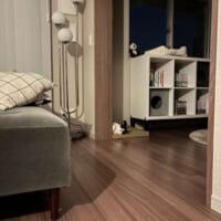 人間観察をするはちたくん