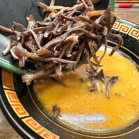 麺を食べ終えてスープだけになった丼に「第二の麺」としてきくらげを投入