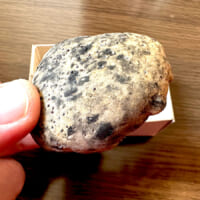石が集まるマルシェで1個2310円の“石菓子”食べてみた　「石味」の正体は意外な食材