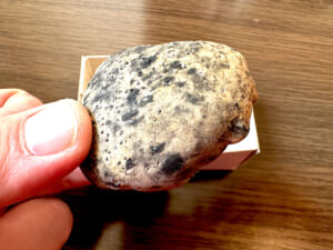 石が集まるマルシェで1個2310円の“石菓子”食べてみた　「石味」の正体は意外な食材