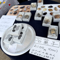石そっくりに作られた「石菓子」