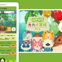 明治が「ほのぼのカカオ育成ゲーム」をリリース　大黒摩季さん書き下ろし楽曲を使用したPV公開