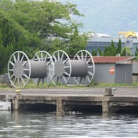 家庭科の授業で使う「アレ」が巨大化？海辺で見つけた謎の物体