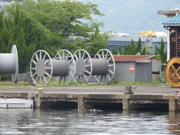 家庭科の授業で使う「アレ」が巨大化？海辺で見つけた謎の物体