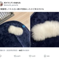 完全に綿