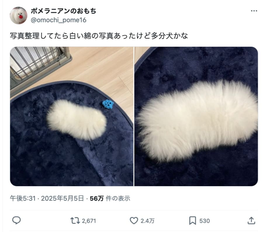 完全に綿