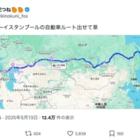 名古屋発イスタンブール行き、Google先生のドライブコースがすごかった